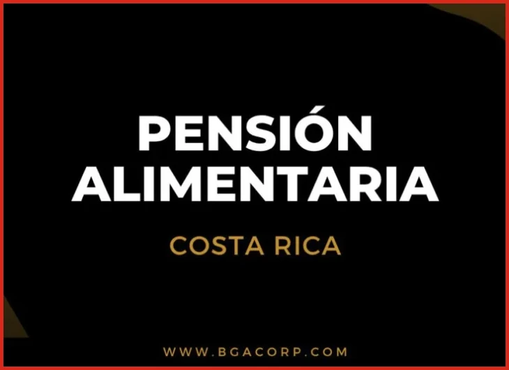 Factores que el juez evalúa para fijar el monto de la pensión