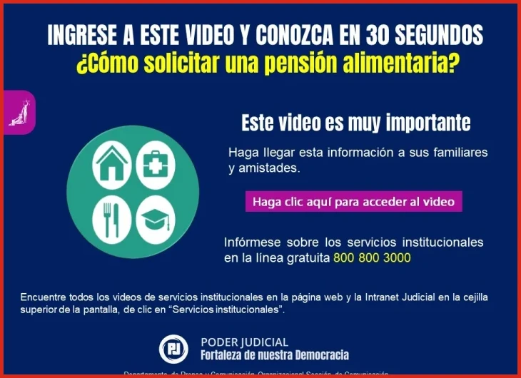 Pruebas de ingresos o gastos del demandado (facturas, recibos o declaraciones)